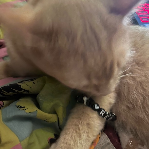 Taylor Swift Reputation Friendship Bracelet - Picture 2 of 3